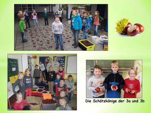 Kastanienaktion in der Klassenstufe 3