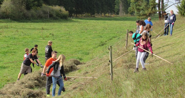 Landschaftspflege im Rauhtal