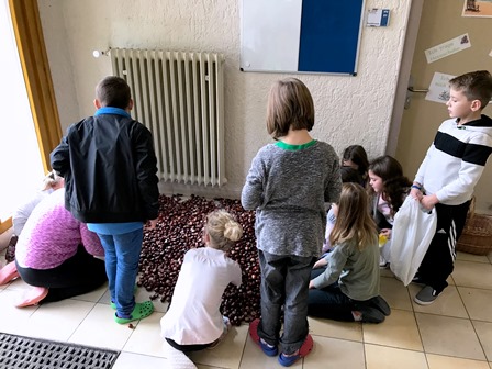 Kastanienjäger aus Klassenstufe 3