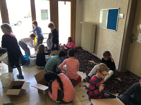 Kastanienrekord in Klassenstufe 3