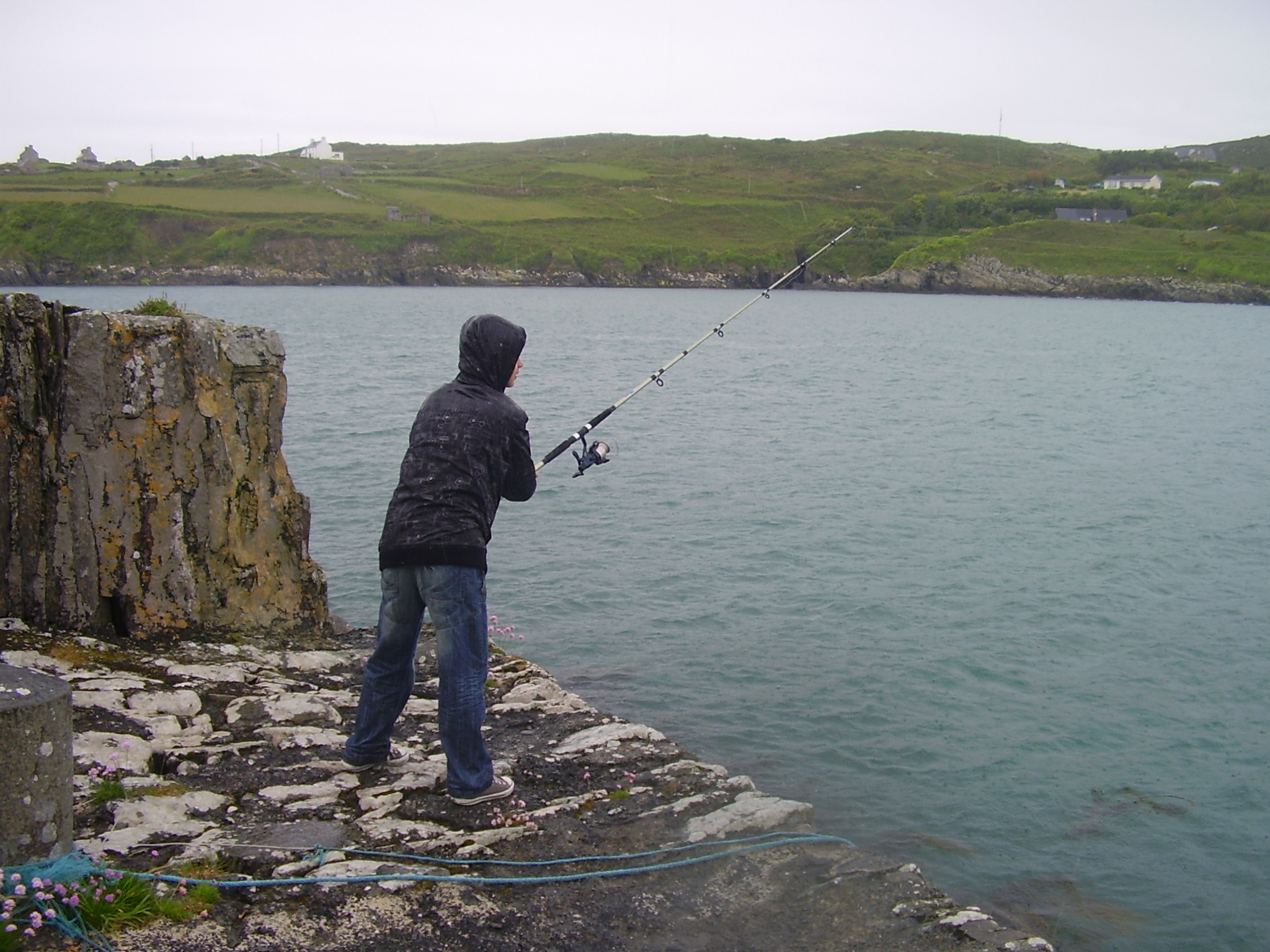 Irisches Tagebuch, Tag 6: Cape Clear Island