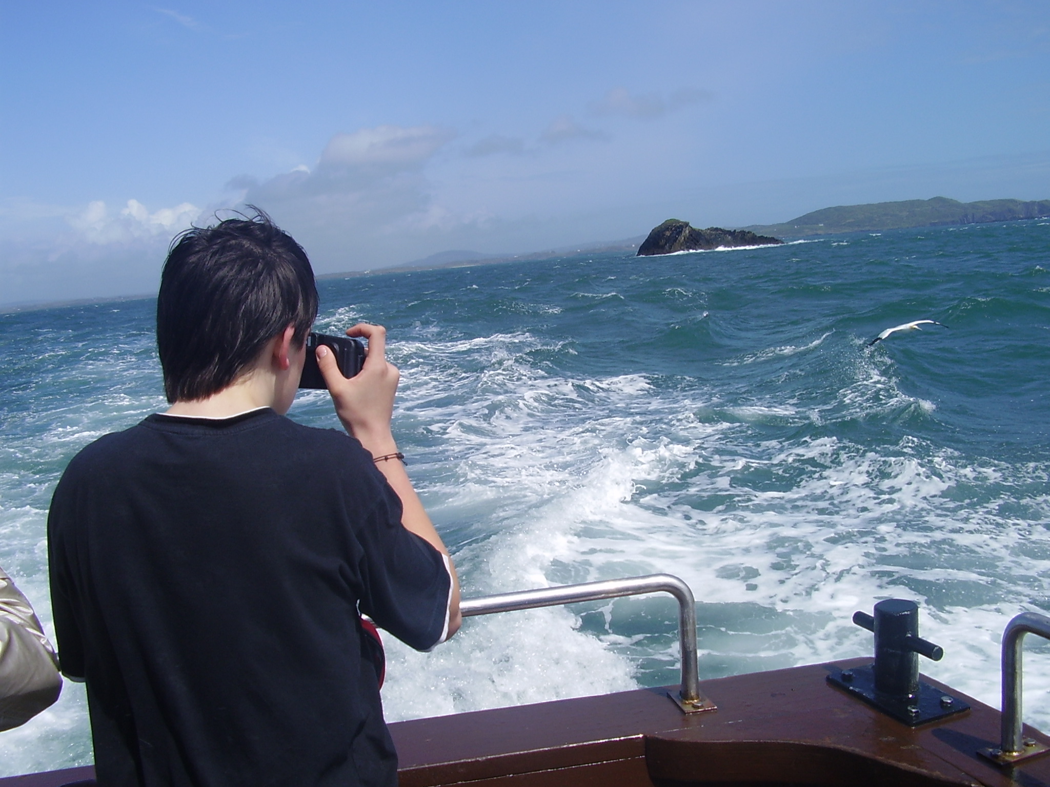 Irisches Tagebuch, Tag 5: Cape Clear Island